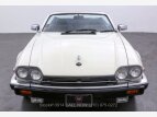 Thumbnail Photo 0 for 1988 Jaguar XJS